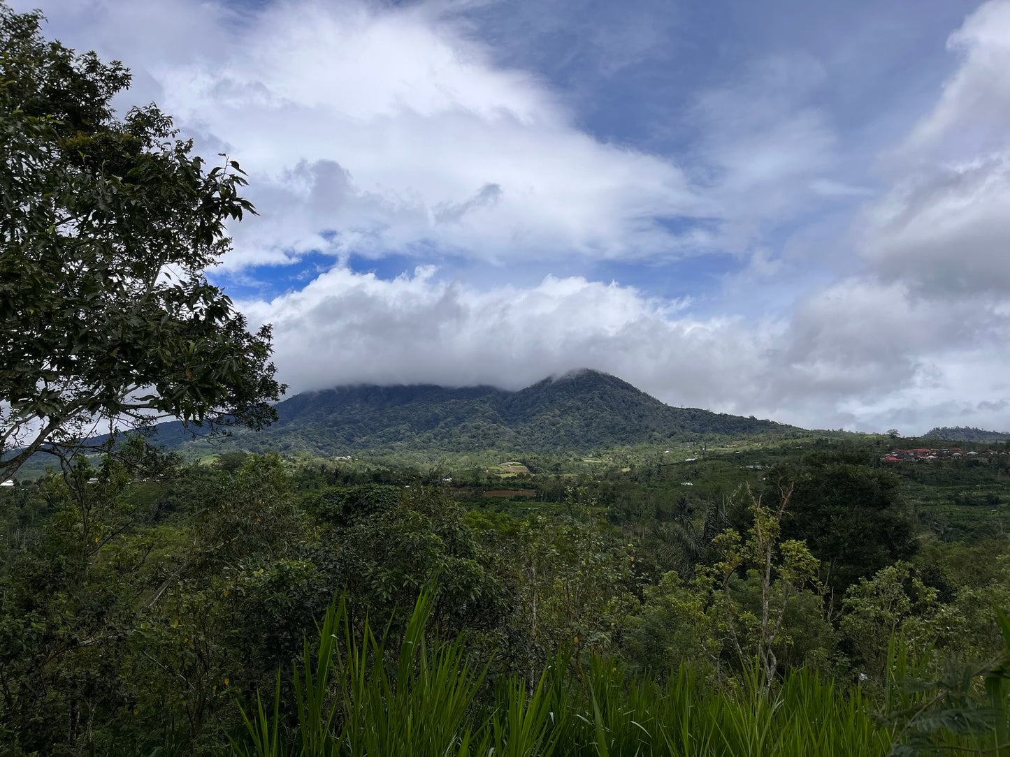 Bali Kintamani