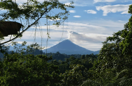 Papua New Guinea