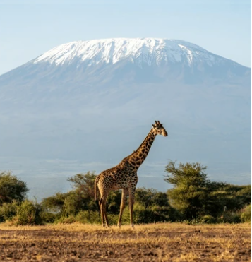 Tanzania