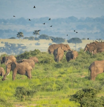 Uganda