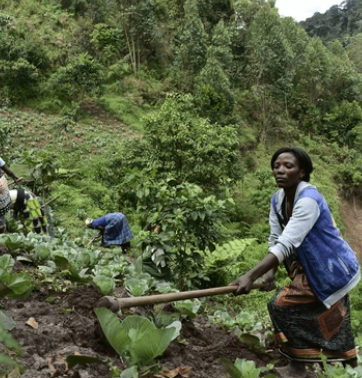 Uganda