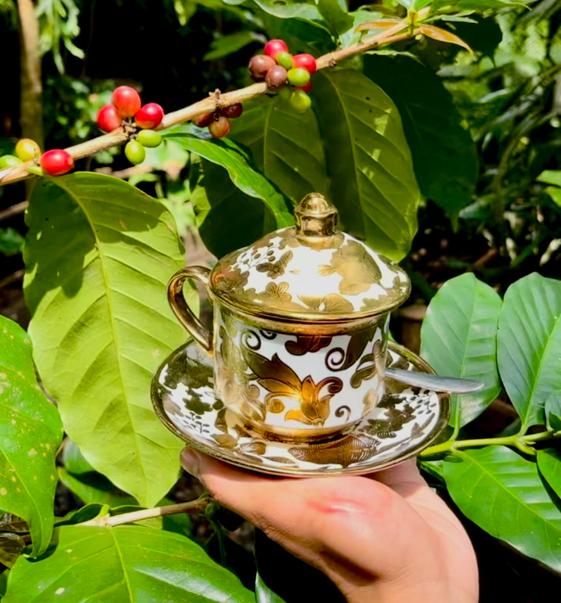 Golden cup used to serve Kopi Luwak at a small "coffee plantation"